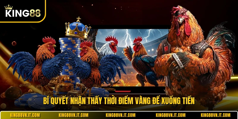 Bí quyết nhận thấy thời điểm vàng để xuồng tiền