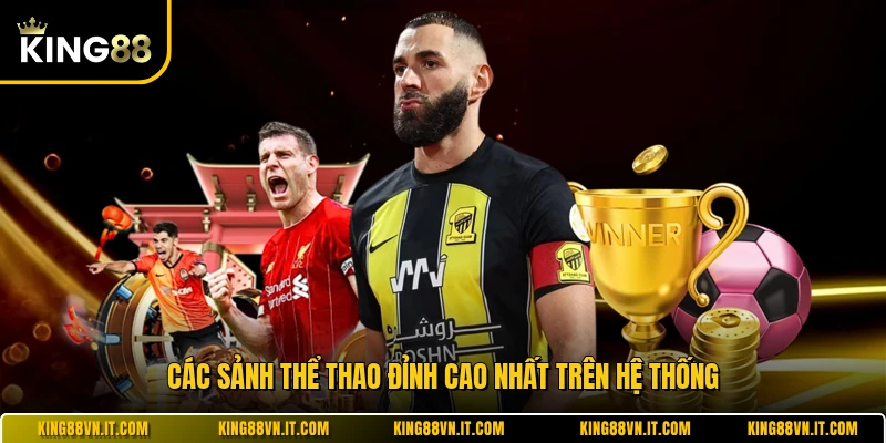 Các sảnh thể thao đỉnh cao nhất trên hệ thống 