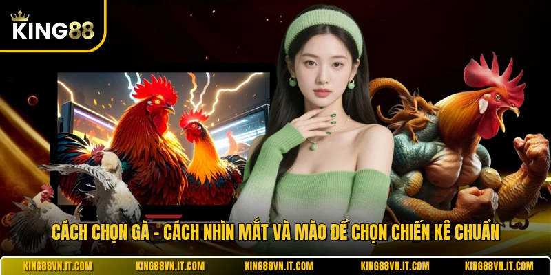 Cách Chọn Gà - Cách Nhìn Mắt Và Mào Để Chọn Chiến Kê Chuẩn