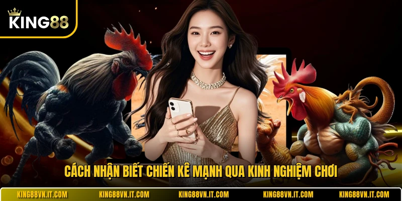 Cách nhận biết chiến kê mạnh qua kinh nghiệm chơi