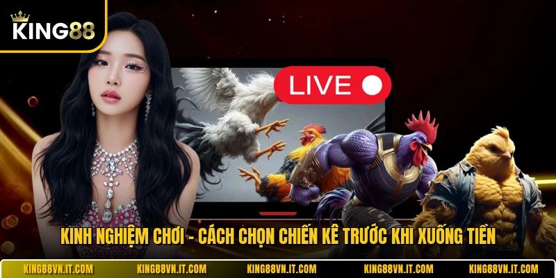 Kinh Nghiệm Chơi - Cách Chọn Chiến Kê Trước Khi Xuống Tiền