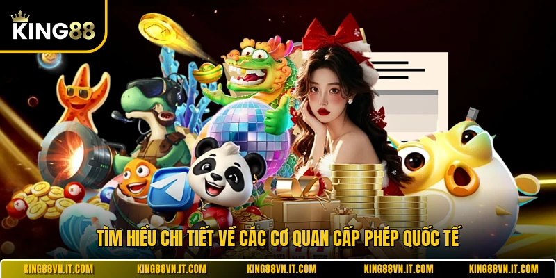 Tìm hiểu chi tiết về các cơ quan cấp phép quốc tế