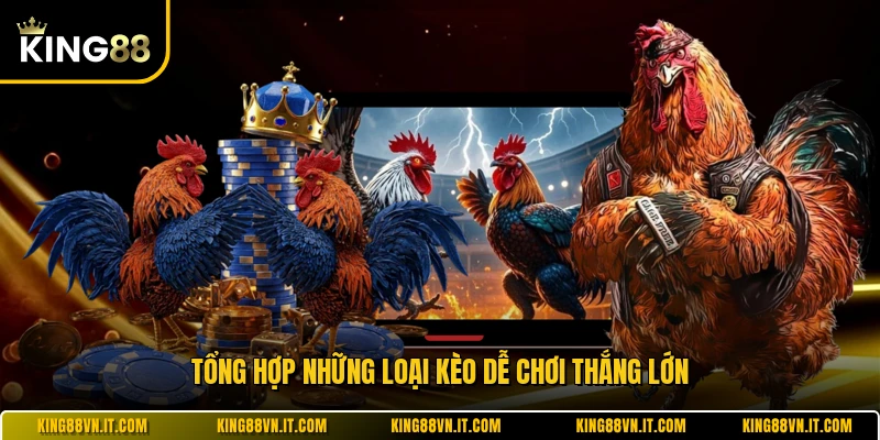 Tổng hợp những loại kèo dễ chơi thắng lớn